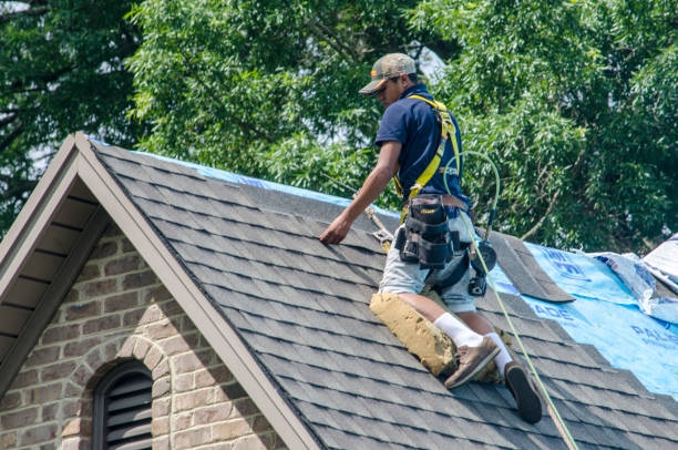 Best Roof Gutter Cleaning  in Lawrenceburg, KY